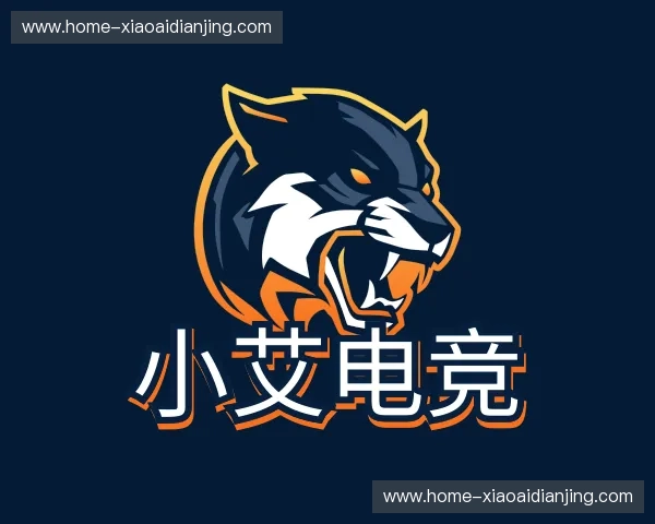 关于小艾电竞官网